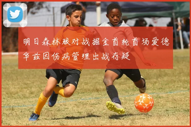 明日森林狼对战掘金首轮首场爱德华兹因伤病管理出战存疑